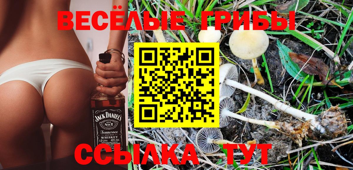 Alpha PVP СОЛЬ кристаллы  Гурьевск  Конопля  МАРИХУАНА  КОКАИН  Меф кристаллы  Гашиш  Вход с VPN 